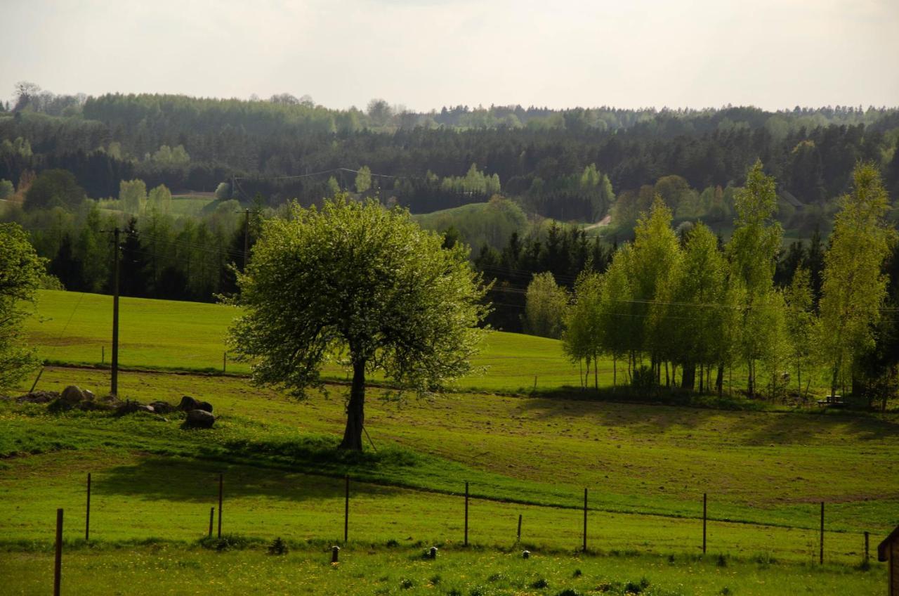 Domek Rospuda Экстерьер фото